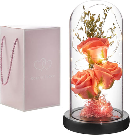 Preserved Flower Gift, Light Up Rose in Glass Dome, Eternal Forever Rose Flower Gifts for Her