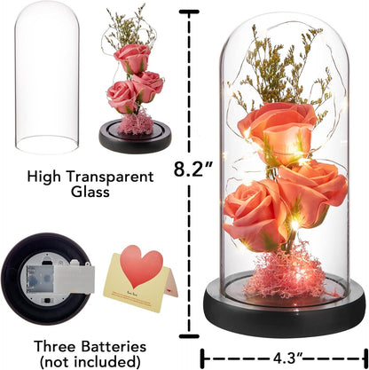 Preserved Flower Gift, Light Up Rose in Glass Dome, Eternal Forever Rose Flower Gifts for Her