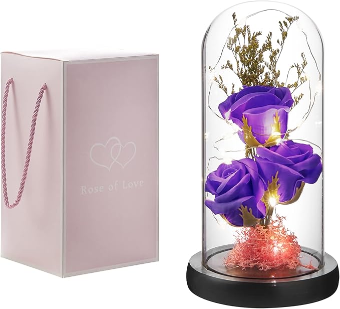 Preserved Flower Gift, Light Up Rose in Glass Dome, Eternal Forever Rose Flower Gifts for Her