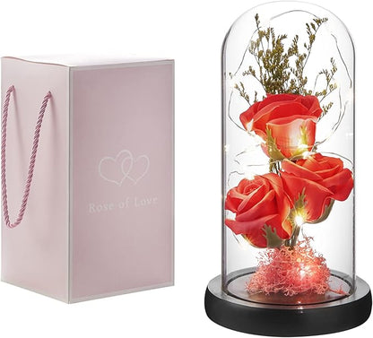 Preserved Flower Gift, Light Up Rose in Glass Dome, Eternal Forever Rose Flower Gifts for Her